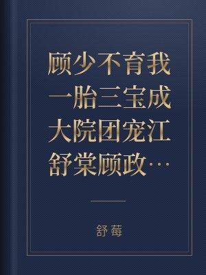 1胎3宝顾少