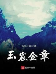 我真不是大佬风月不知