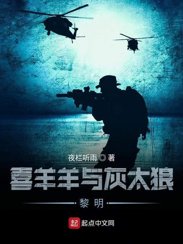 我的亮剑生涯精校版