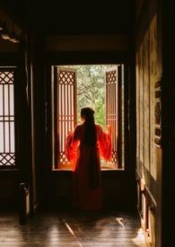 九天斩神诀林辰全文免费阅读