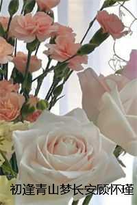 亮剑之开局一个团TXT