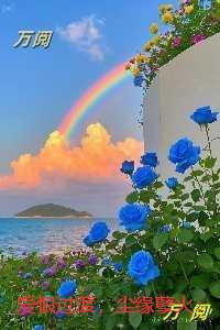 爱恨过渡,尘缘孽火:+结局+畅读