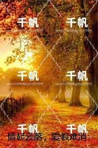 燕不凡和柳如烟什么关系