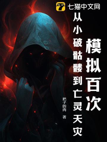 赘婿神皇全文免费阅读完整版