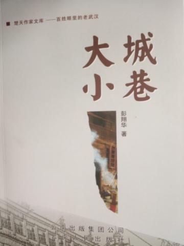 地球第一领主起点