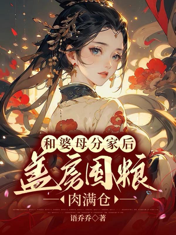 朕小说简介