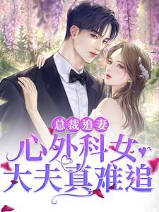 魔尊狂宠绝色炼丹妃有声在线收听