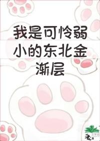 冲破枷锁,方知骄阳