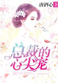 穿成首辅家的小野猫晋江